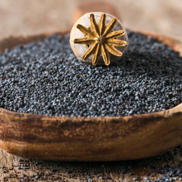 Poppy seed from 헝가리 supplied by Dibona Europe Kft. - PP Bags (25kg) 양귀비 씨