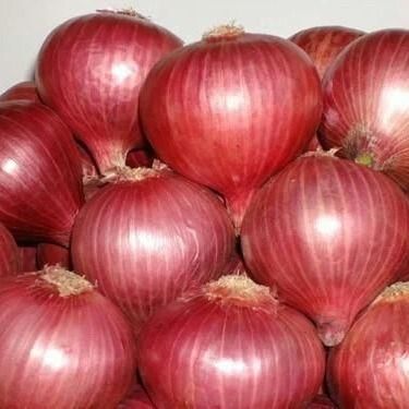 Red Onions from 인도 supplied by AGROCARTE EXIM ENTERPRISES PRIVATE LIMITED - Excellent Quality Other Fresh Vegetables