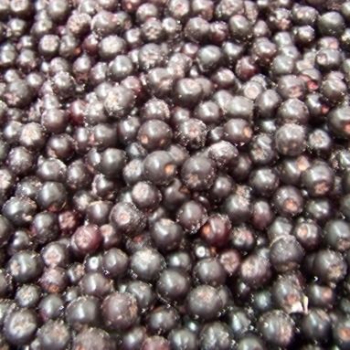 Frozen Aronia from Poland supplied by Naturfresh Produce - Black Chokeberry (=Black Berried Aronia=Aronia melanocarpa) Frozen Aronia