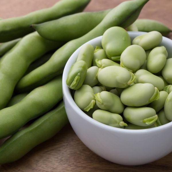 Frozen Fava Beans from 이집트 supplied by ALDBERKY TREADING - Frozen 클러스터콩