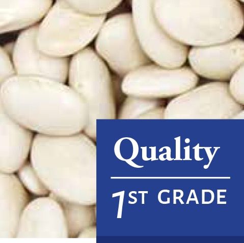 Great Northern Beans from 아르헨티나 supplied by QUELLE TRADE, import export d.o.o - Class 1 흰콩