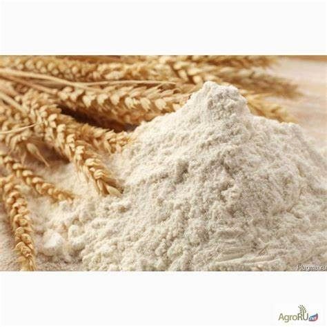 Wheat flour from 러시아 supplied by AVRORA LLC - 1등급 밀가루