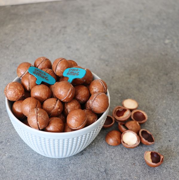 Sawn macadamia nuts from 남아프리카공화국 supplied by Blinkwater Moon - Murang'a 20 마카다미아 알맹이