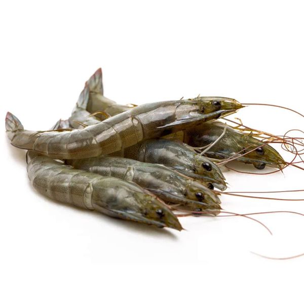 PD Vannamei Shrimp from Iran supplied by fanoos makran - Frozen Common Shrimp & Prawn