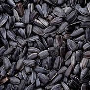 sunflower seeds from Ukraine supplied by Agro Grains - High Oil Content Sunflower Seed