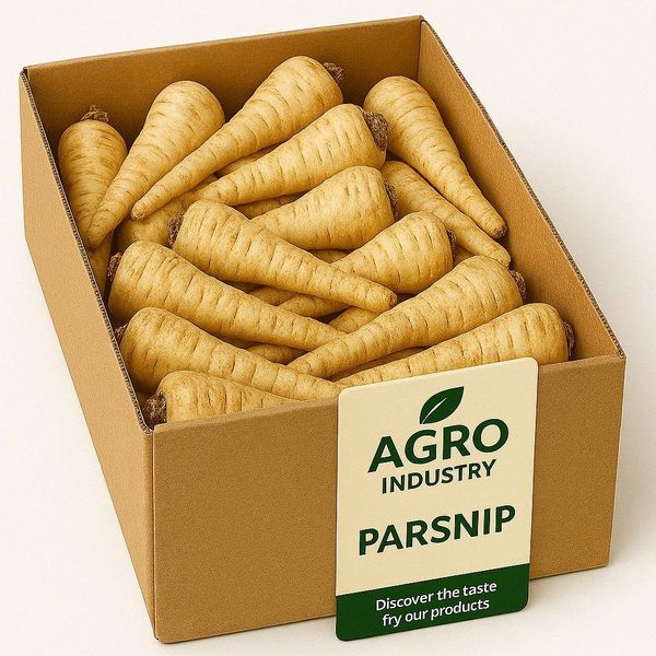 parsnip from 키르기스스탄 supplied by Agro Industry - Individually Wrapped (=IW) 파스닙