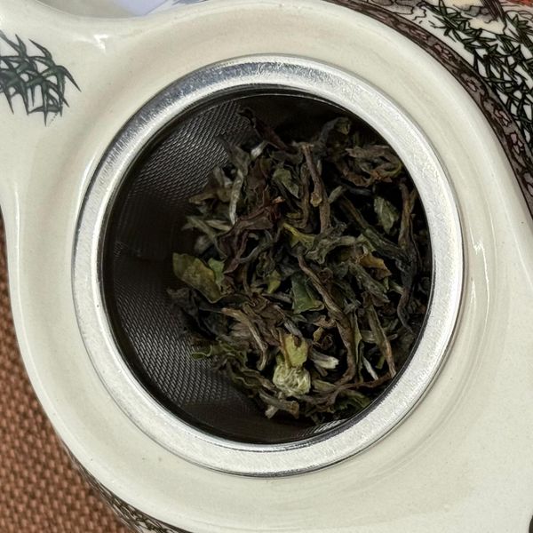 Darjeeling Green Tea from India supplied by INDOMOLD CONNECT (OPC) PRIVATE LIMITED - Large Bulk Green Tea