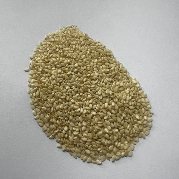 Hulled Sesame Seeds from 파키스탄 supplied by Agrosecure - Dehulled (=Dehusked) 참깨