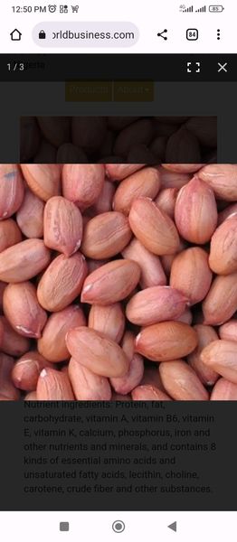 Soybeans Seed, Shea Nuts, Maize, Raw Cashew Nut, Yam, yam flour, Beans, Groundnut, Sorghum and Melon from 나이지리아 supplied by SA AGRO NIG LTD - Maturation Time: 6 Months 땅콩 알맹이