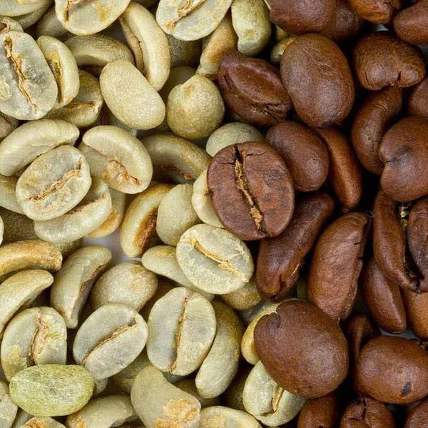 coffee bean from 탄자니아 supplied by kilaga international ltd - 신선 생원두