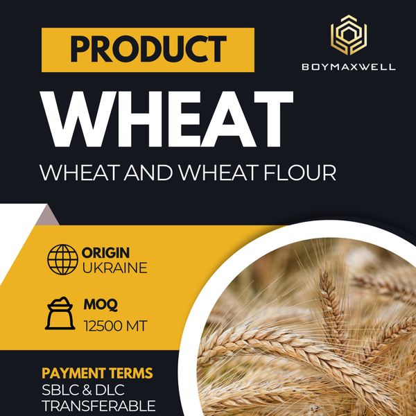 WHEAT from 우크라이나 supplied by Boymaxwell Indojaya Grup Ltd. - 일등급 밀가루