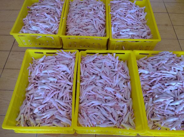 Chicken Paw from 벨라루스 supplied by Zeal International Limited - A등급 냉동 닭고기 부위