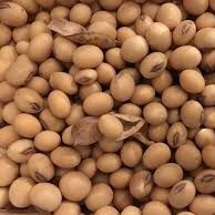 Soybean from 나이지리아 supplied by Natural Green Integrated Resources Limited - 대두