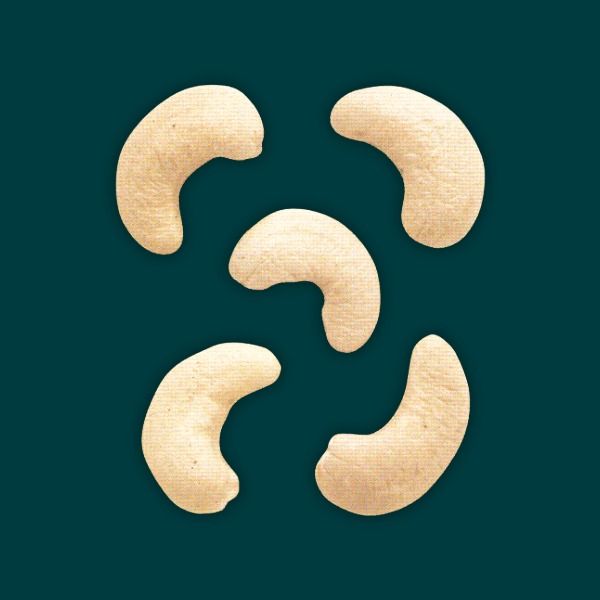Cashew Kernels W320 from Vietnam supplied by Imiri Soma - 50lb vacuum pack Cashew Nut Kernel