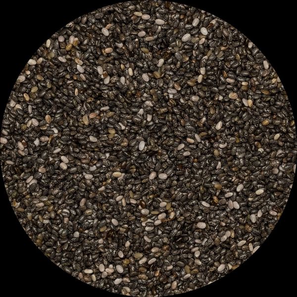 Organic black chia seed from 파라과이 supplied by Origin & Amsterdam - Black Varieties 치아 씨