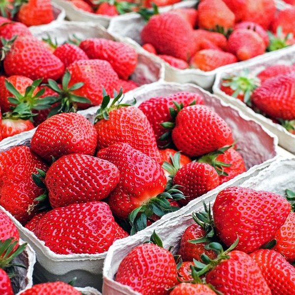 Strawberry from Egypt supplied by AL Refaei Group - Bright Red Fresh Strawberry