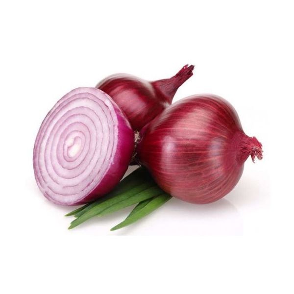 Egyptian Onions from 이집트 supplied by SCHOMT trade - 신선 양파