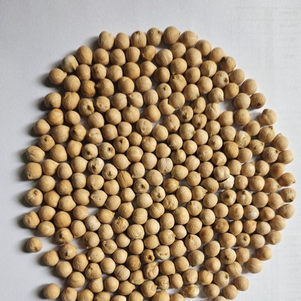 Chickpeas from Ukraine supplied by Agro Grains - Dried Chickpea