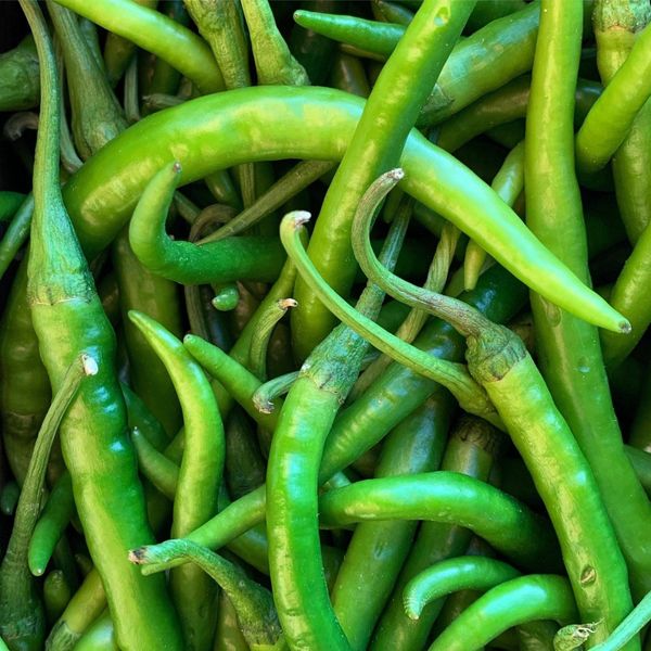 Green Chilly from 인도 supplied by Liberty Exports - 우수 품질 신선 고추