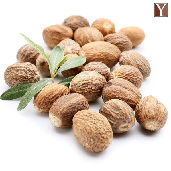 Raw Shea Nuts from 가나 supplied by JP Yata Ltd - Vitellaria Paradoxical 시어너트