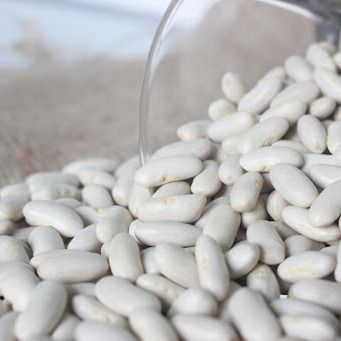 Egyptian White Beans (Phaseolus vulgaris) from 이집트 supplied by Green Delta Export - Fresh (=Chilled) 흰콩