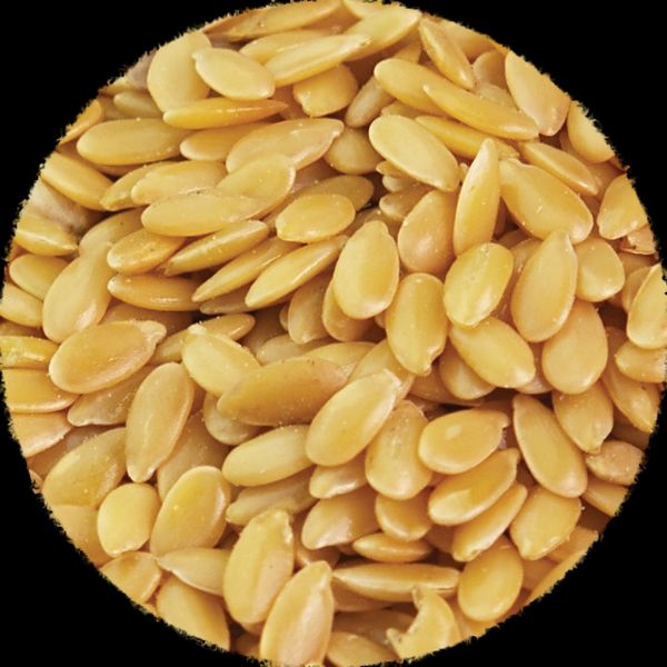 Golden Yellow Flaxseed from 캐나다 supplied by NORTHERN NUTRACEUTICALS INC - 20kg 아마 씨