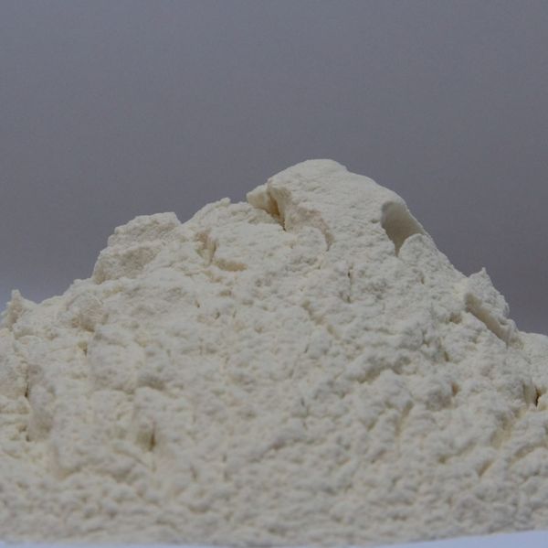 Guar Gam Powder from 파키스탄 supplied by Commercial Ventures - Powder 구아검