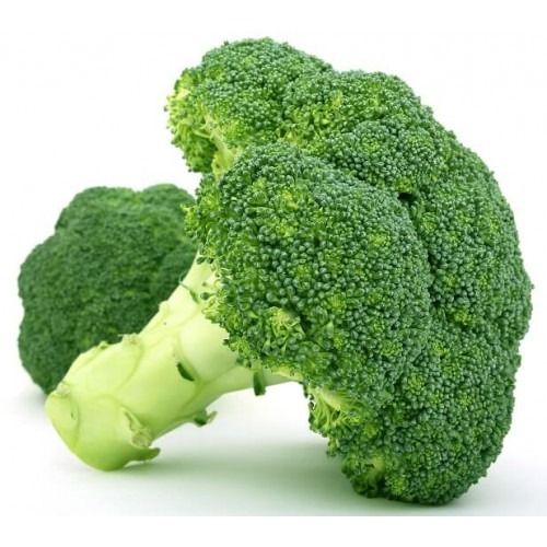 Broccoli from 이집트 supplied by ALDBERKY TREADING - 신선 브로콜리 꽃