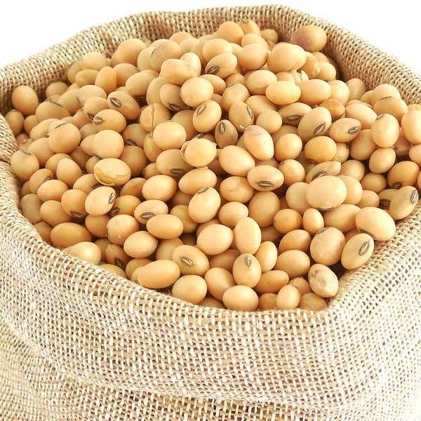 Soybean from 가나 supplied by JOBACH COMOD LTD - 햇볕 건조 대두