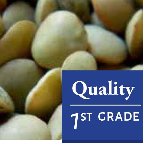 Green Lentils from 아르헨티나 supplied by QUELLE TRADE, import export d.o.o - 말린 렌틸
