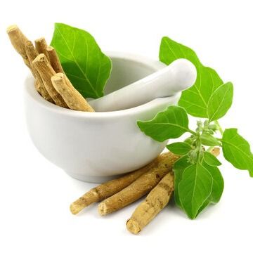 Ashwagandha Root from 인도 supplied by Dhirendra Soya Agro Pvt Ltd - FAQ (=Fair Average Quality) 허브 블렌드