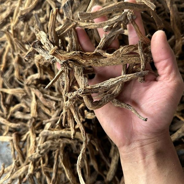 Stemona Tuberosa from 베트남 supplied by Mai Anh Group Import Export JSC - 아로마틱 허브