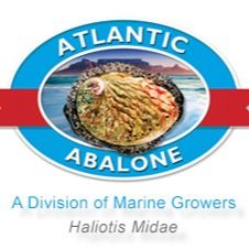 South African Culitivated Abalone from 남아프리카공화국 supplied by Premier Fishing SA PTY LTD - 순환 양식 탱크 신선 전복