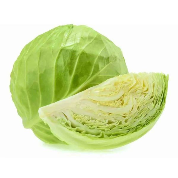Cabbages from 이집트 supplied by PEI Trade - Young White 신선 양배추