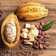 Cocoa from 페루 supplied by Super Food Exports - Powder 코코아 파우더