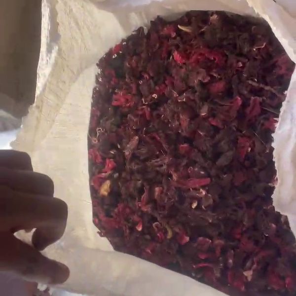 Hibiscus flower from 나이지리아 supplied by Northwind LLC - 로젤(=Gongura=Hibiscus Sabdariffa) 히비스커스