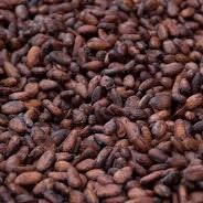 cocoa from 나이지리아 supplied by Ensource Ltd - 원물 코코아콩