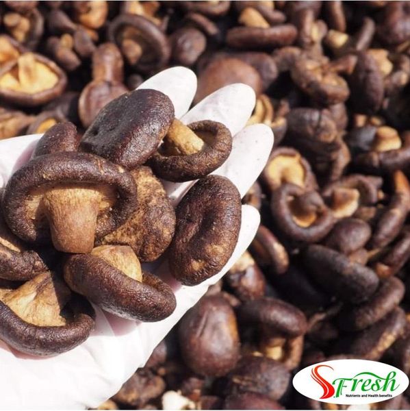 Shiitake Sublimated Dried Natural- Crispy dried shiitake mushroom- Vietnam 84-0908861288 from 베트남 supplied by Seiko Jsc - Dried Shiitake Mushroom