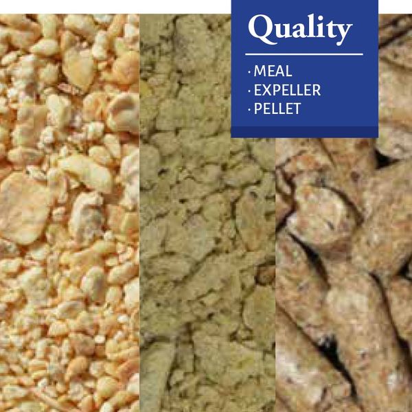 Soybean Meal from 아르헨티나 supplied by QUELLE TRADE, import export d.o.o - 대두박