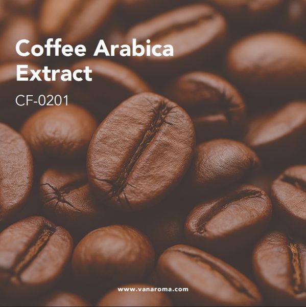 Coffee Arabica Extract - Van Aroma (CF-0201) from 인도네시아 supplied by Van Aroma - High Quality 커피추출물