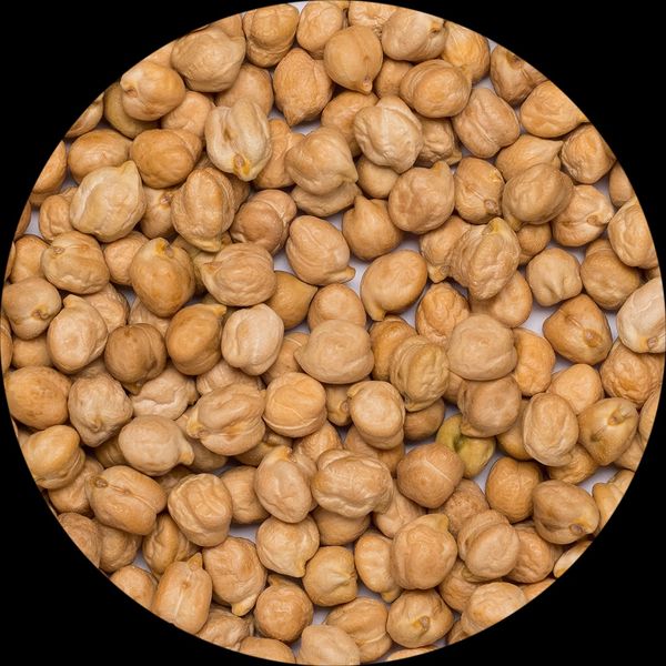 Organic Chickpeas from 우크라이나 supplied by Origin & Amsterdam - 세척 말린 병아리콩