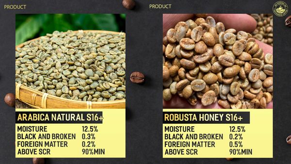 coffee bean from 베트남 supplied by Thinh Plus Co.,Ltd - 그라운드 볶은 원두