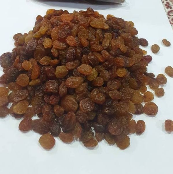 Sultana Raisin from Iran supplied by Nature Bite Foods - Raisin (Dried Grape)
