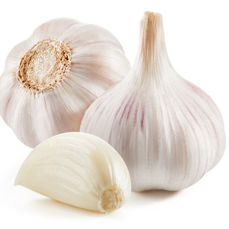 Garlic from 이집트 supplied by ALDBERKY TREADING - 신선 마늘