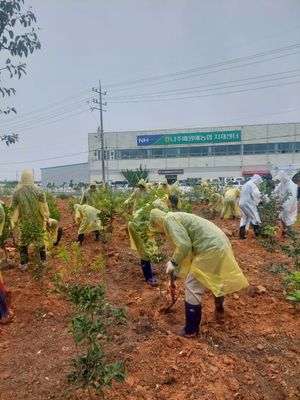 Naju Pear Agricultural Cooperative Association - Verified Premium supplier and manufacturer from 대한민국
