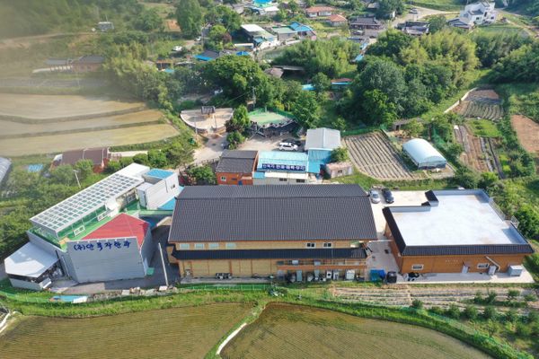 AHNBOKJA HANGWA CO.,LTD - Premium supplier and manufacturer from 대한민국