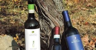 Az. Agr. Santa Clelia - Verified Premium supplier and manufacturer from Italy
