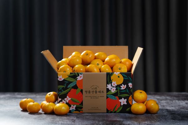 SECOROM - Verified Premium supplier and manufacturer from South Korea