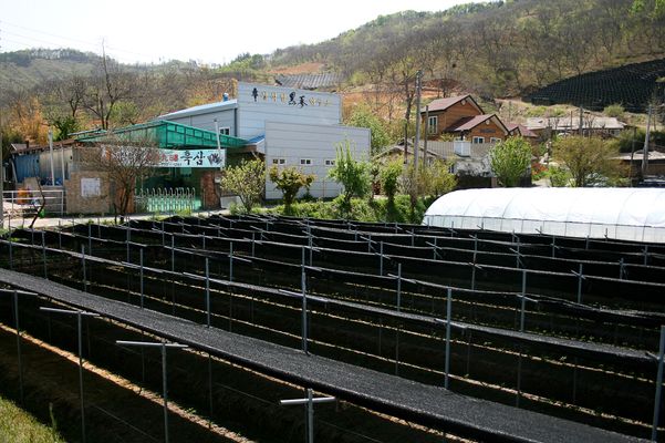 Master Jang's Black Ginseng Lab - Premium supplier and manufacturer from 대한민국