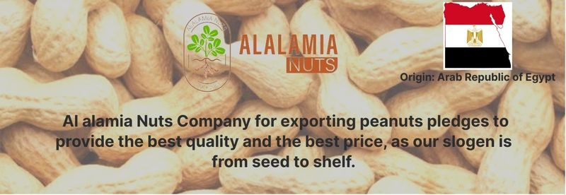 AL ALAMIA NUTS - Verified supplier and manufacturer from 이집트
